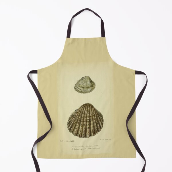 Item preview, Vintage print of a British shell designed and sold by stevepaint.
