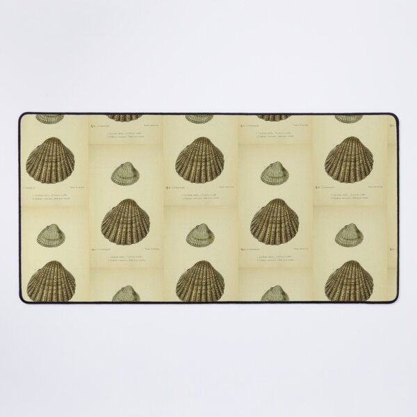 Item preview, Vintage print of a British shell designed and sold by stevepaint.