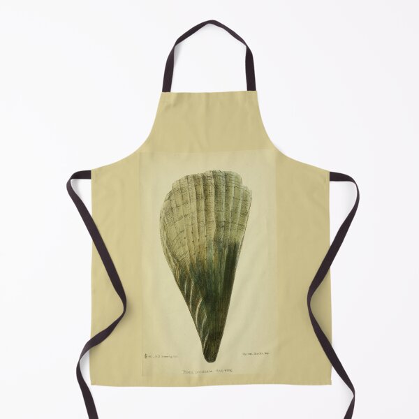 Item preview, Vintage print of a British shell designed and sold by stevepaint.