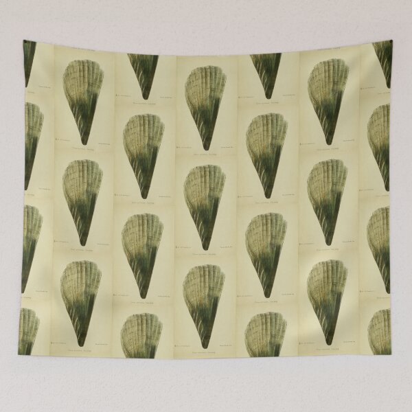 Item preview, Vintage print of a British shell designed and sold by stevepaint.