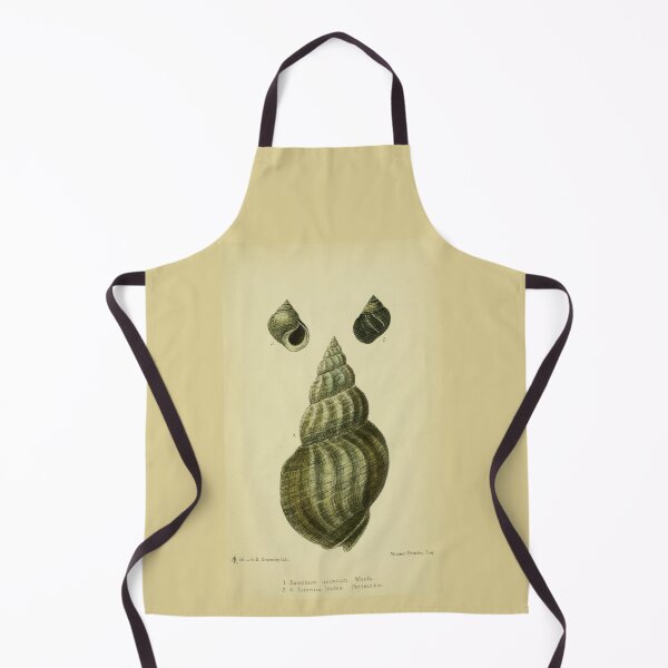 Item preview, Vintage print of a British shell designed and sold by stevepaint.
