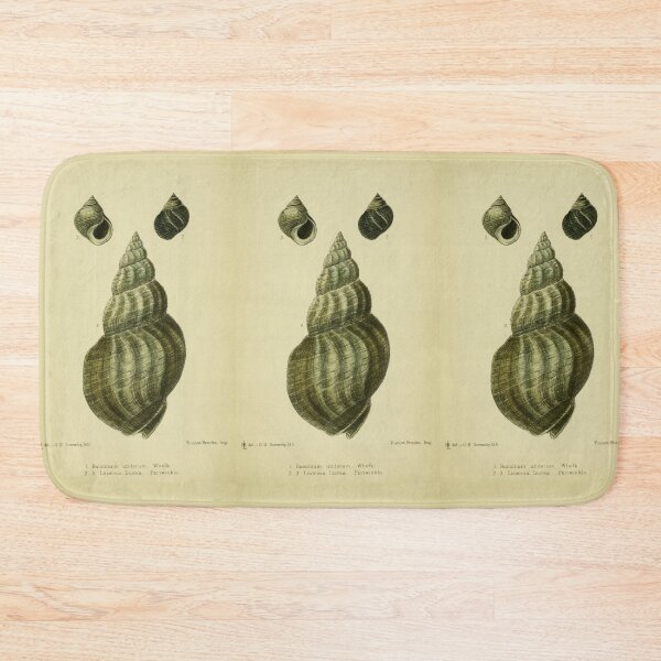 Item preview, Vintage print of a British shell designed and sold by stevepaint.