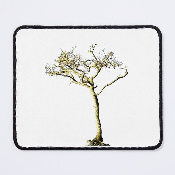 Item preview, Loch Lomond Tree designed and sold by carlisleprints.