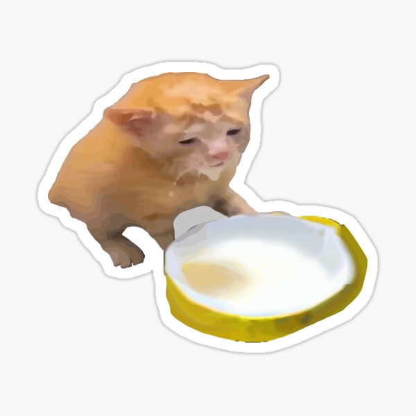 IcePools Shop Redbubble