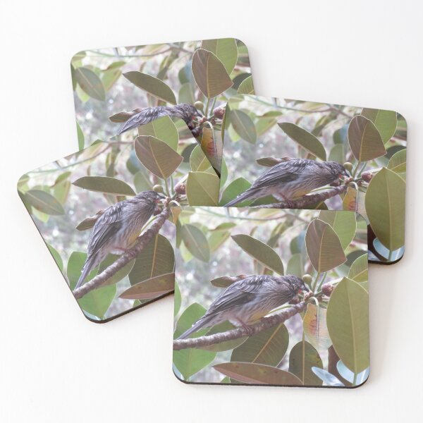 Item preview, Red wattlebird eating figs designed and sold by greentiger1.