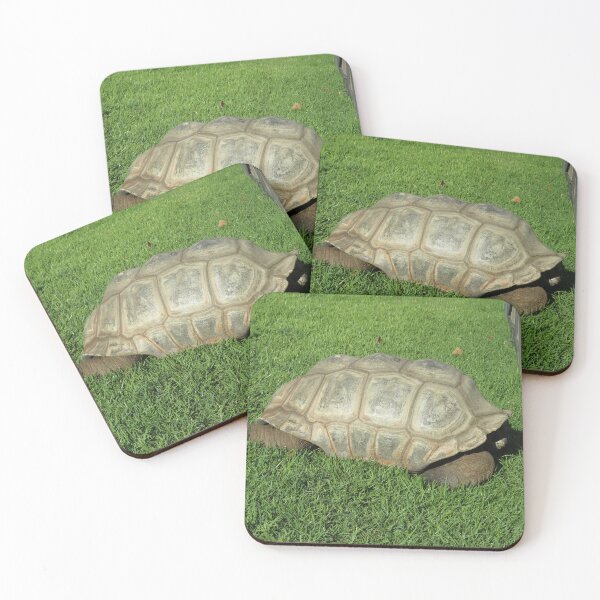 Item preview, Aldabra giant tortoise designed and sold by greentiger1.