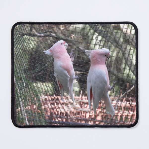 Item preview, Two pink cockatoos designed and sold by greentiger1.