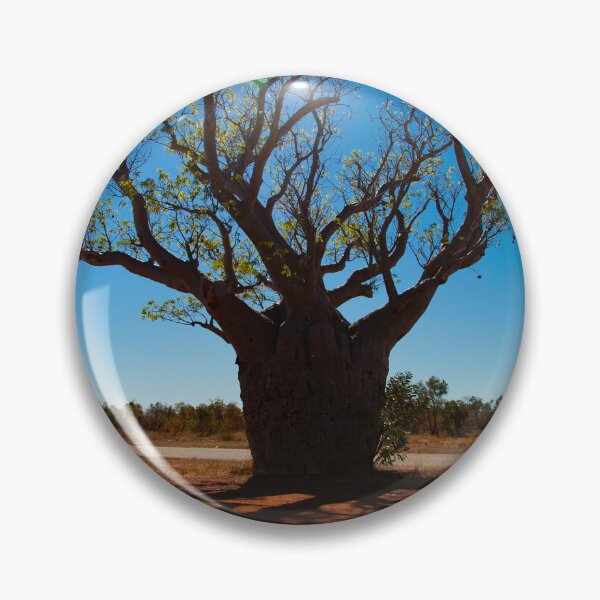 Item preview, Cape Leveque Kimberley Boab Tree  designed and sold by scottimage.