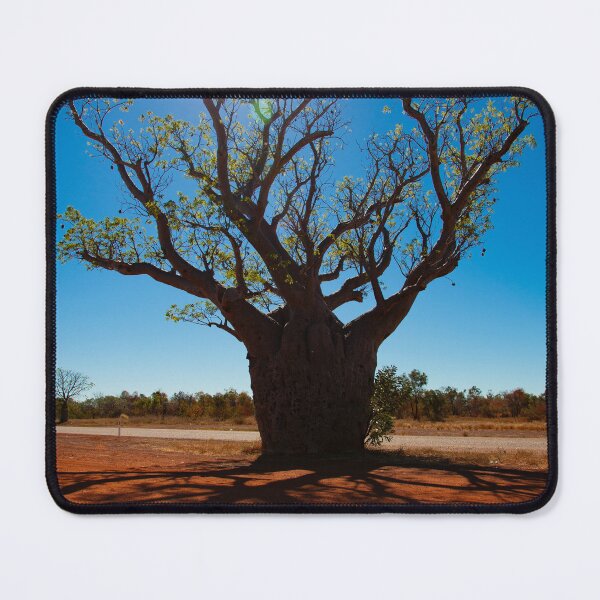 Item preview, Cape Leveque Kimberley Boab Tree designed and sold by scottimage.