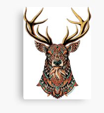 Ornate Buck Canvas Print