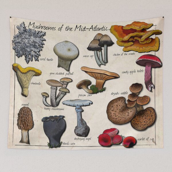 Item preview, Mushrooms of the Mid-Atlantic designed and sold by Cherie Brunetti.