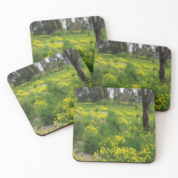 Item preview, Yellow Oxalis Or Soursob In A Paddock designed and sold by Designsbygroovy.