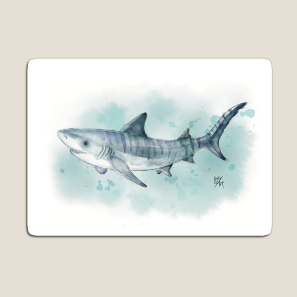 Watercolour Tiger Shark Magnet