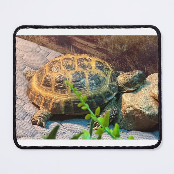 Item preview, Tortious sleeping designed and sold by Maddy32314.