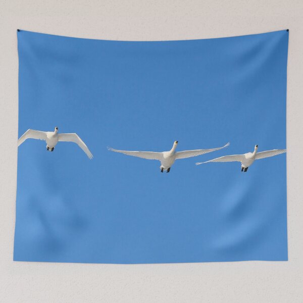 Item preview, Whoops for the spring. Whooper swan designed and sold by Jouko Lehto Photography.
