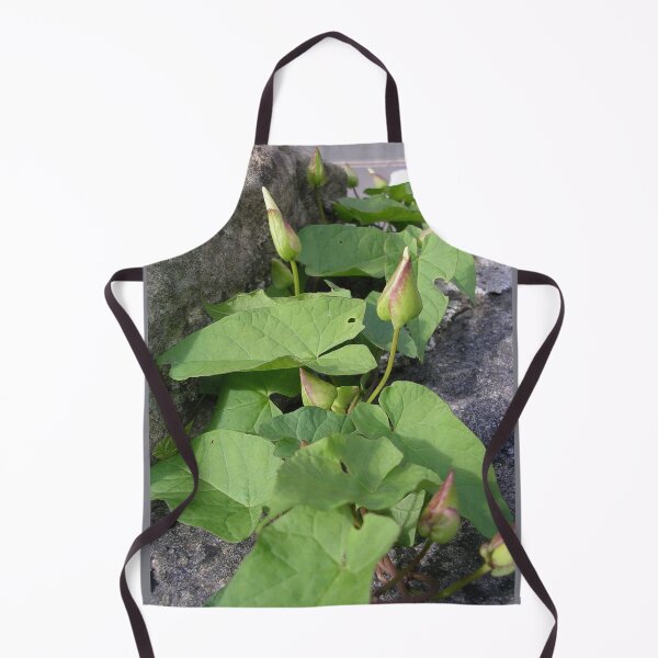 Item preview, Bindweed Buds  (Convolvulus) designed and sold by lezvee.