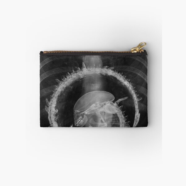 Item preview, Alien radiography Alien X-ray designed and sold by TyheimMejia.