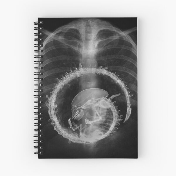 Item preview, Alien radiography Alien X-ray designed and sold by TyheimMejia.