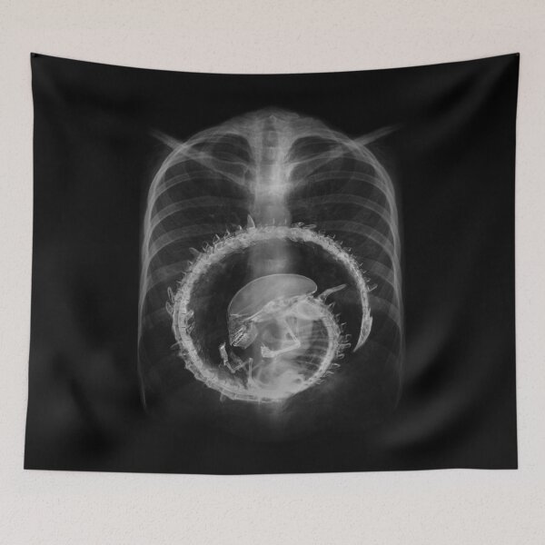 Item preview, Alien radiography Alien X-ray designed and sold by TyheimMejia.