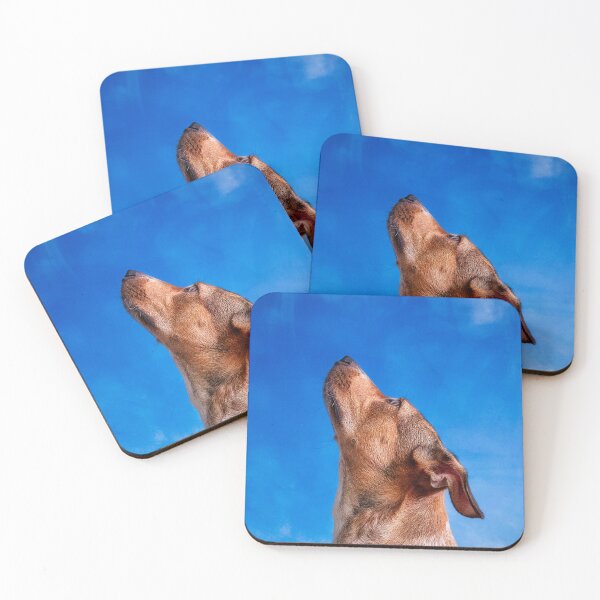 Item preview, Somebody Up There Likes Me designed and sold by Alex Preiss.