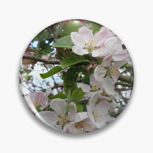 Item preview, Apple Blossom designed and sold by amanda150771.