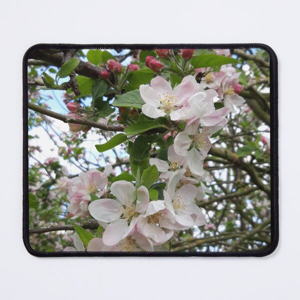Item preview, Apple Blossom designed and sold by amanda150771.