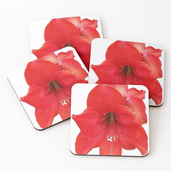 Item preview, Red Hippeastrum Flower designed and sold by Designsbygroovy.