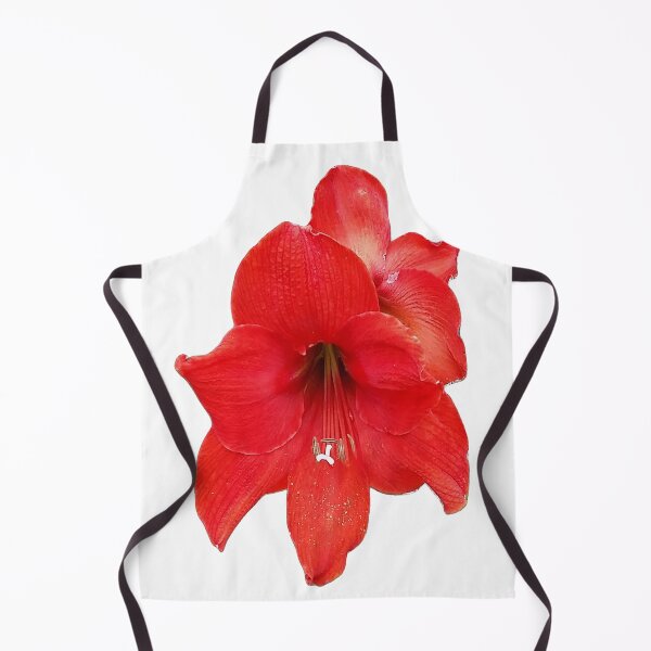 Item preview, Red Hippeastrum Flower designed and sold by Designsbygroovy.