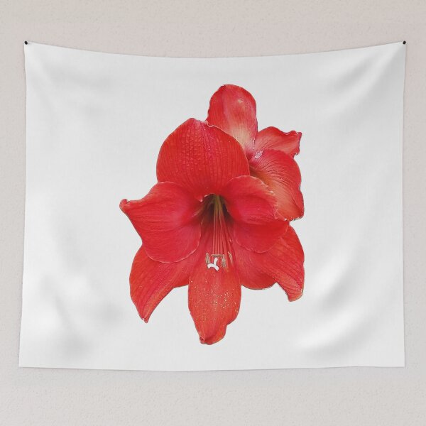 Item preview, Red Hippeastrum Flower designed and sold by Designsbygroovy.