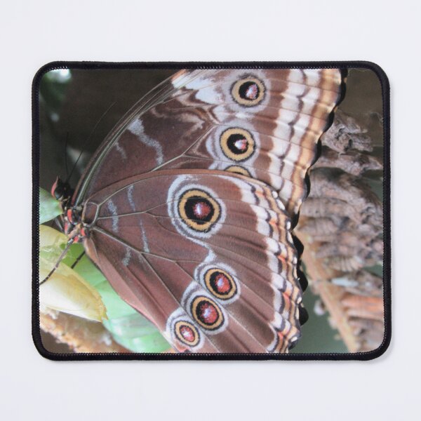 Item preview, Brown Butterfly designed and sold by lezvee.