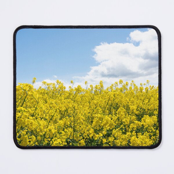 Item preview, Rape Flower vibrance  designed and sold by hawkie.