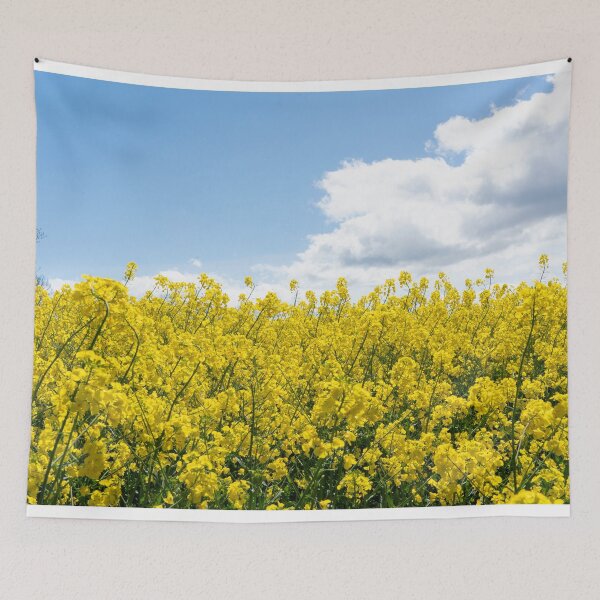 Item preview, Rape Flower vibrance  designed and sold by hawkie.