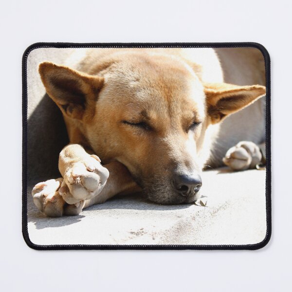 Item preview, Street dog in Thailand designed and sold by laiacrafts.