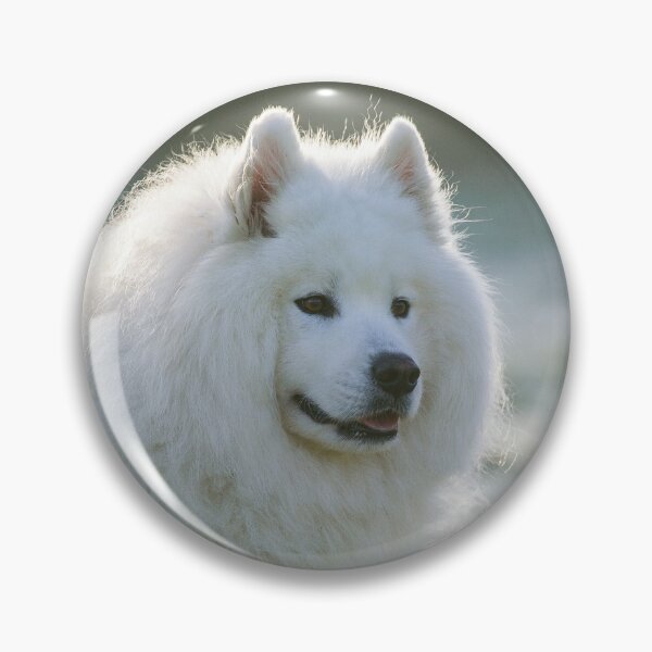 Item preview, Smiling Samoyed  designed and sold by XO.
