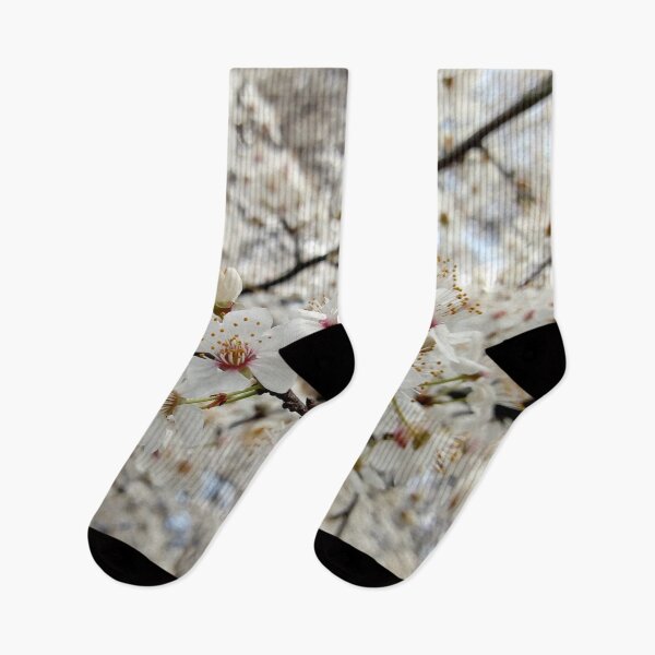 Item preview, Close up of Cherry plum with white blossoms 3 original artwork designed and sold by paragonDesign28.