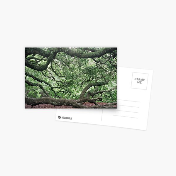 Item preview, angel oak designed and sold by karen peacock.