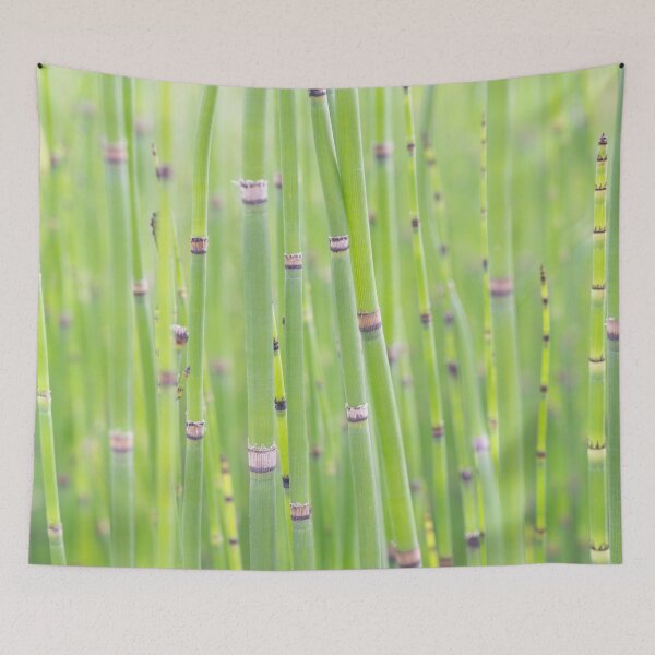 Aperçu de l'œuvre Impression d’art à motif de bambou - pleine conscience vert vif - plante azienne - photographie de nature botanique créée et vendue par Christa Stroo Photography.