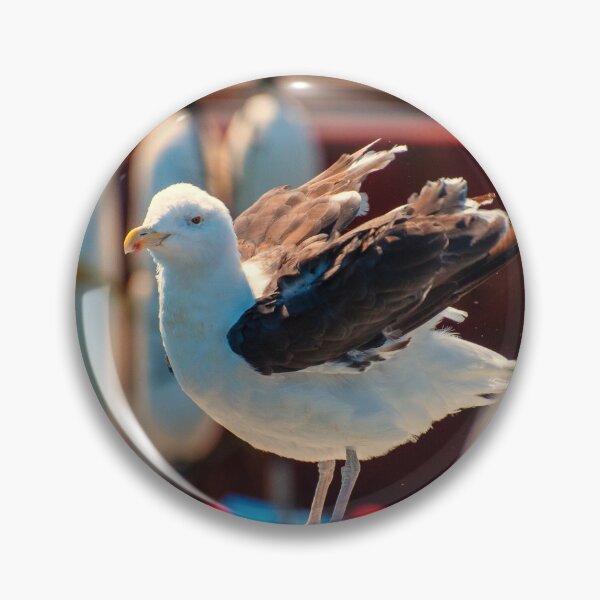 Item preview, Getting feathers ready to fly... designed and sold by Ruth Curtis.
