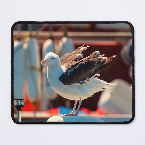 Item preview, Getting feathers ready to fly... designed and sold by Ruth Curtis.