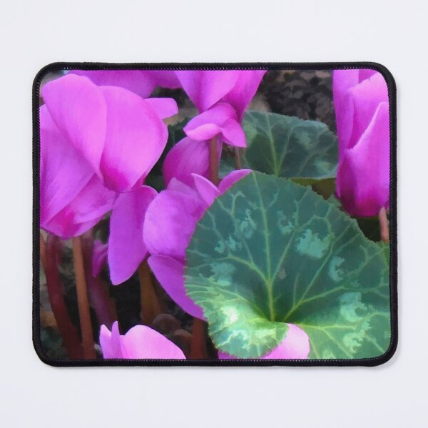Item preview, Spring, Spring, Spring designed and sold by bertsworks300.