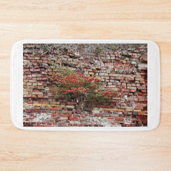 Item preview, Brick Wall Plant designed and sold by Cynthia48.