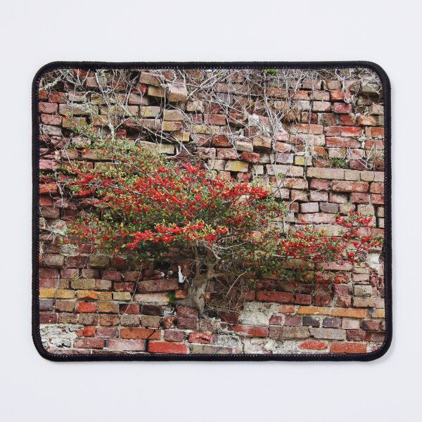 Item preview, Brick Wall Plant designed and sold by Cynthia48.