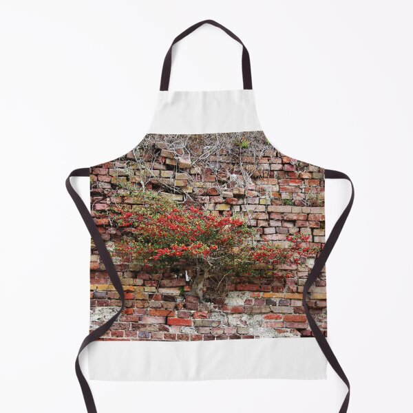 Item preview, Brick Wall Plant designed and sold by Cynthia48.