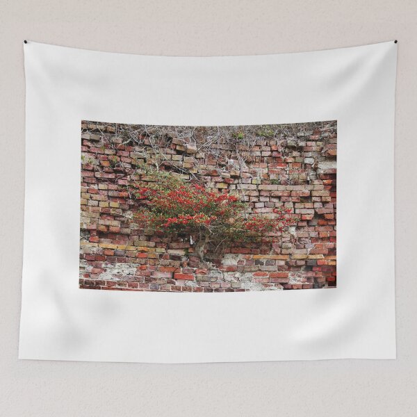 Item preview, Brick Wall Plant designed and sold by Cynthia48.