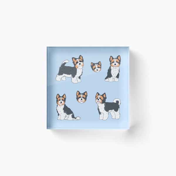 Item preview, Biewer Terrier dog pack designed and sold by Yaragold.