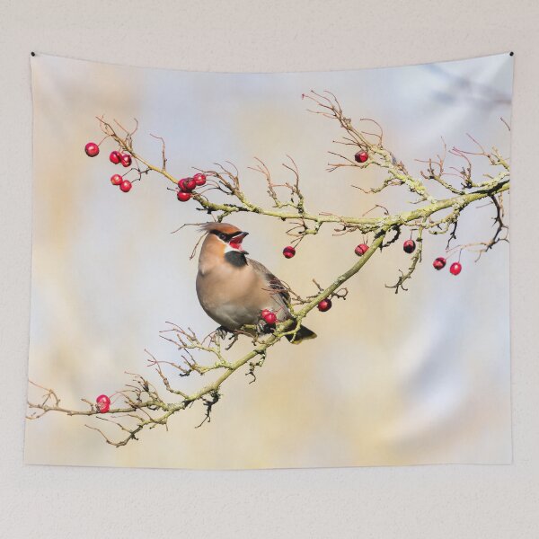 Item preview, Bohemian Waxwing and Hawthorn Berries designed and sold by Jane Stanley Photography.