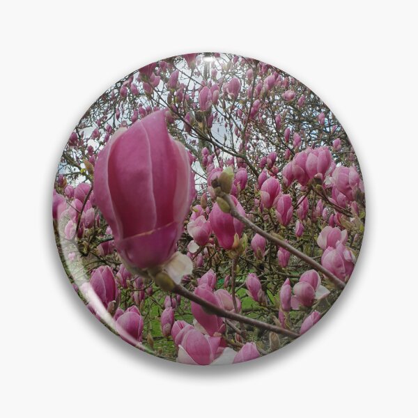 Item preview, Magnolia designed and sold by amanda150771.