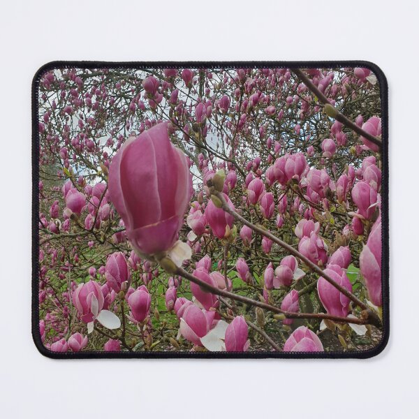 Item preview, Magnolia designed and sold by amanda150771.