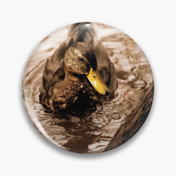 Item preview, Duck designed and sold by Picsorama.