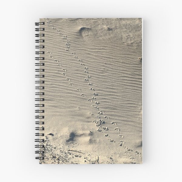Item preview, Birds footprints on sand beach designed and sold by Yulia mozes.